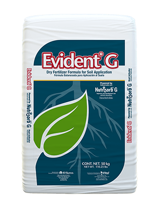 Evident® G